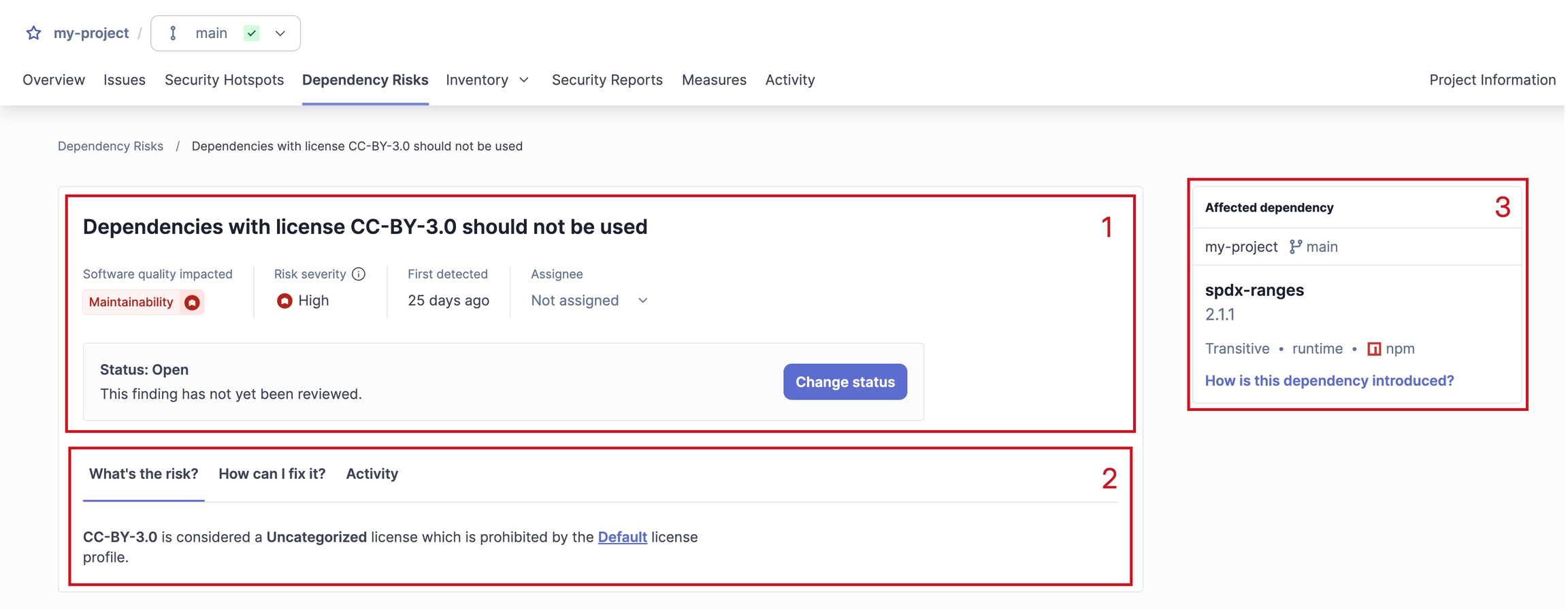 The information displayed on a dependency risk detailed view.